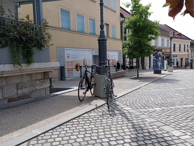 Klub Vida Ingrid Hodnik s.p. - Novo mesto