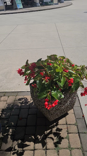 Zdraviliški trg 6, 3250 Rogaška Slatina