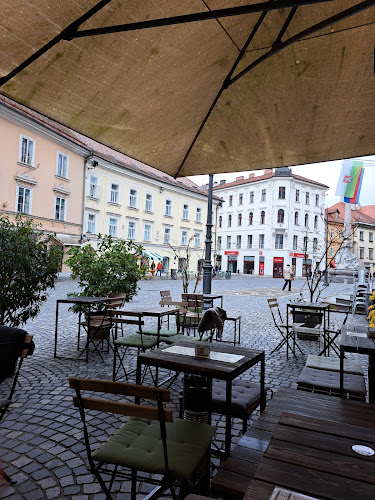 Mestni trg 2, 1000 Ljubljana