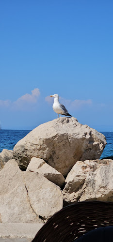 Specializirana okrepčevalnica pizzeria ˝Flora˝, Ljubica Imeri s.p. - Piran