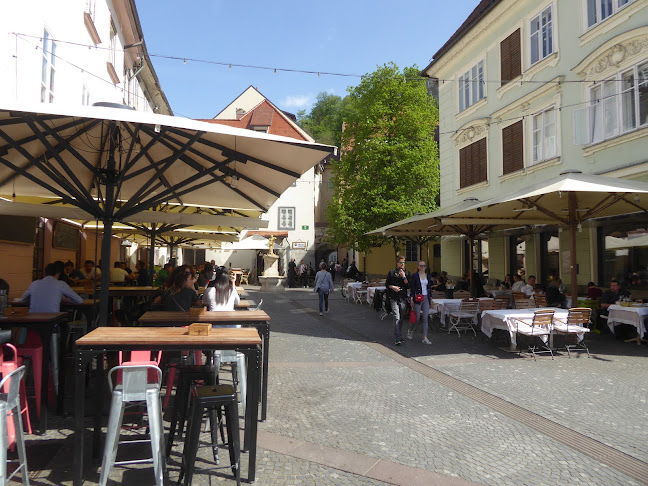 Celovška cesta 25, 1000 Ljubljana