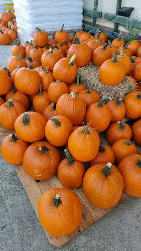 Opinii despre Kmetija Avšič, EKO zelenjava, sadje in sadike în Ljubljana - Gastronomija in gostinstvo