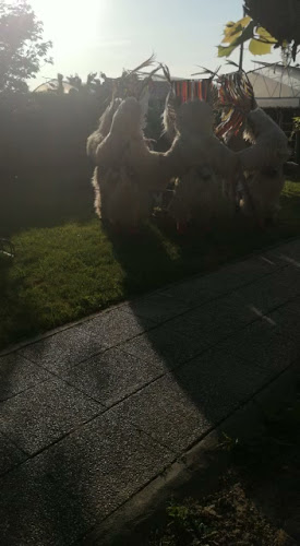 Gostilna-Trattoria Turk