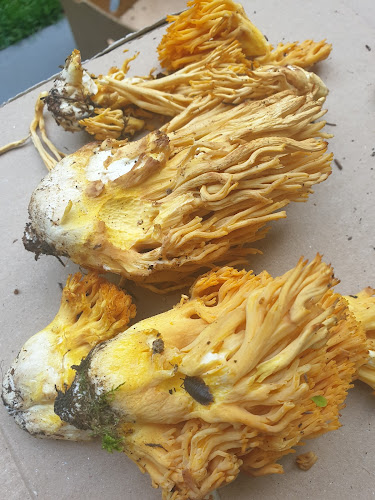 Zox, Gostinstvo, Turizem, Trgovina In Storitv Jesenice D.O.O. - Jesenice