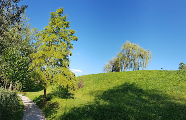 Comentarii opinii despre Solkanska Klet