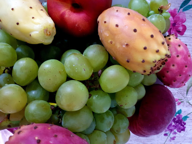 Opinii despre Bar Siska în Ljubljana - Gastronomija in gostinstvo