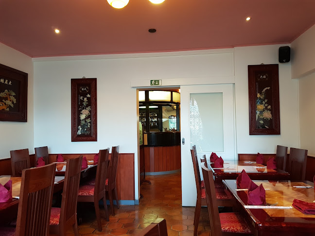 Opinii despre Pekinško mesto în Velenje - Gastronomija in gostinstvo