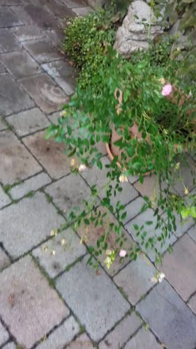 Opinii despre Turistična Kmetija "pri Rjavčevih" în Šempas - Gastronomija in gostinstvo