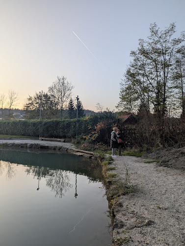 Opinii despre Ribnik Žeje în Naklo - Gastronomija in gostinstvo