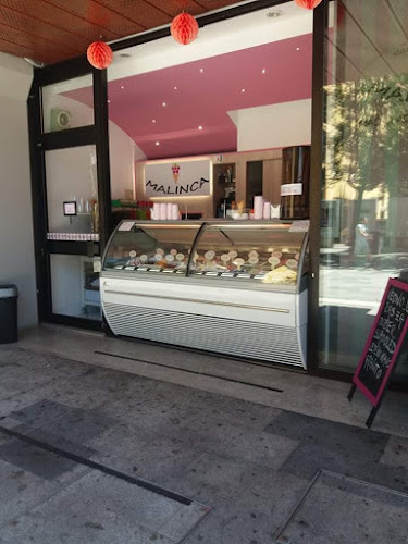 Sladoledarna Malinca - Gastronomija in gostinstvo