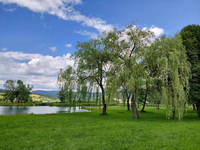 Pr' Nini - Šoštanj