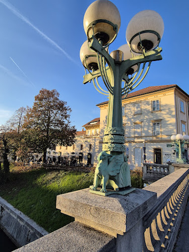 Petkovškovo nabrežje 31a, 1000 Ljubljana