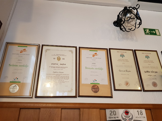 Opinii despre Gostilna in prenočišče Kocjan în Bizeljsko - Gastronomija in gostinstvo