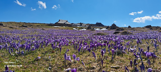 Bukovčeva ulica 12, 1230 Domžale