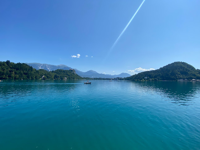 Potičnica - Gastronomija in gostinstvo