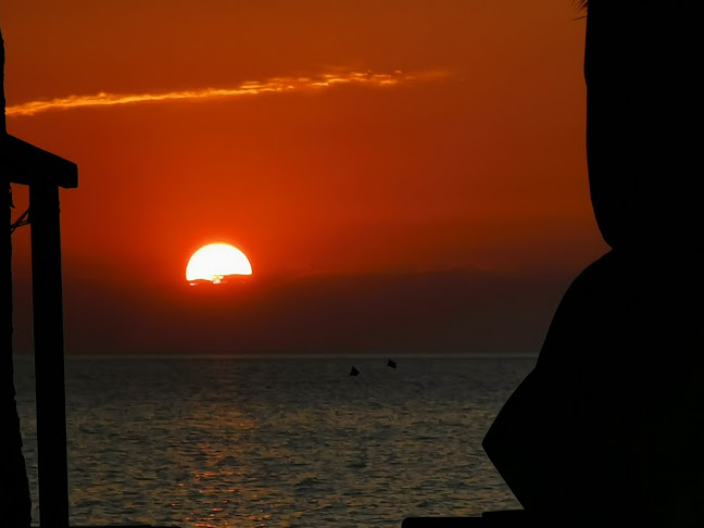 Pizzeria Burin Piran - Piran