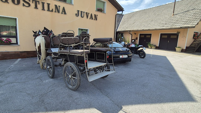 Bojan Juvan s.p. - Litija