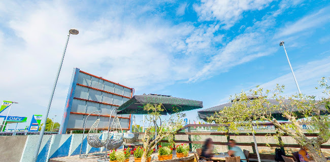 Divino Caffe - Gastronomija in gostinstvo