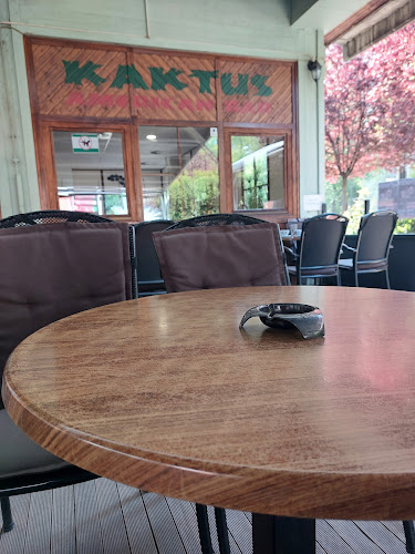 Opinii despre Kaktus american bar în Celje - Gastronomija in gostinstvo