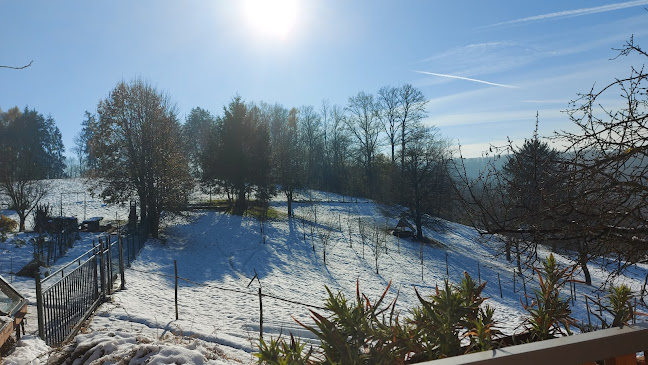 Bife pri Lojzu Alojz Šerbak s.p. - Gastronomija in gostinstvo