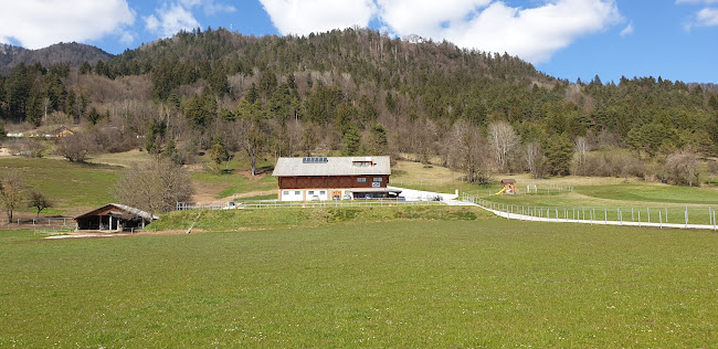 Poljče 23 C, 4275 Begunje na Gorenjskem