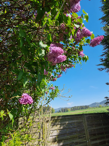 Pizzerija Pikola - Gastronomija in gostinstvo