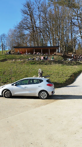 Opinii despre Lušt’n pod hrastom în Lukovica pri Domžalah - Gastronomija in gostinstvo