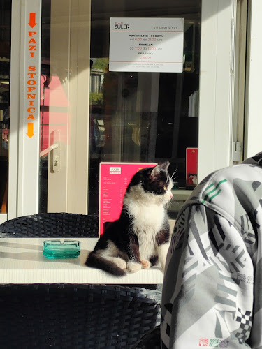 Bar Ekspreso Maksimiljan Šuler s.p. - Muta