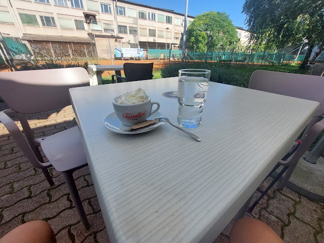 Bar pri zelenem travniku