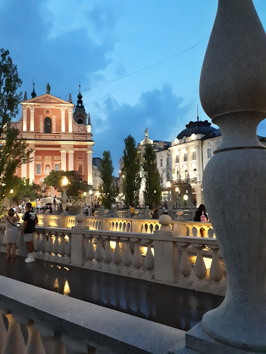 Vila As Gostinstvo In Turizem D.O.O.