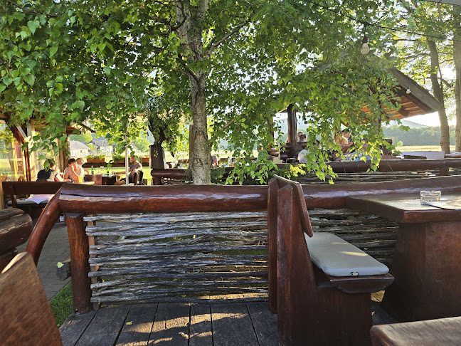 Gostilna in pizzerija Mars - Ig