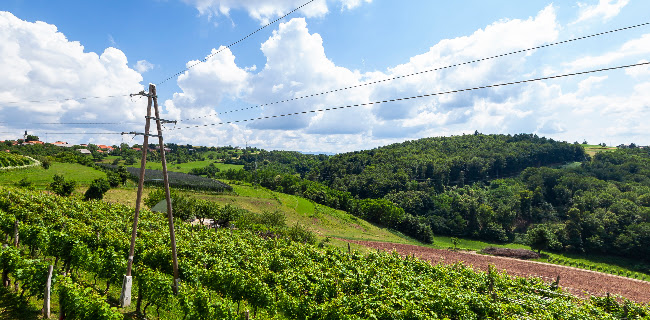 Straža pri Krškem 2, 8270 Krško