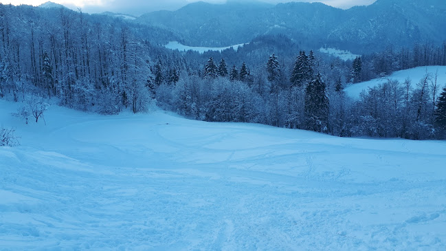 Opinii despre Gostilna Dobnikar Dobnikar Anton S.P. în Medvode - Gastronomija in gostinstvo