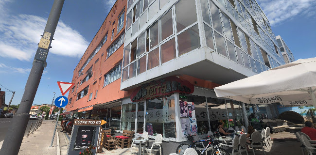 Terra bar, gostinstvo, Kristjan Krivec s.p.