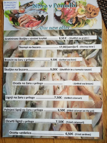 Knezdol 10, 1420 Trbovlje