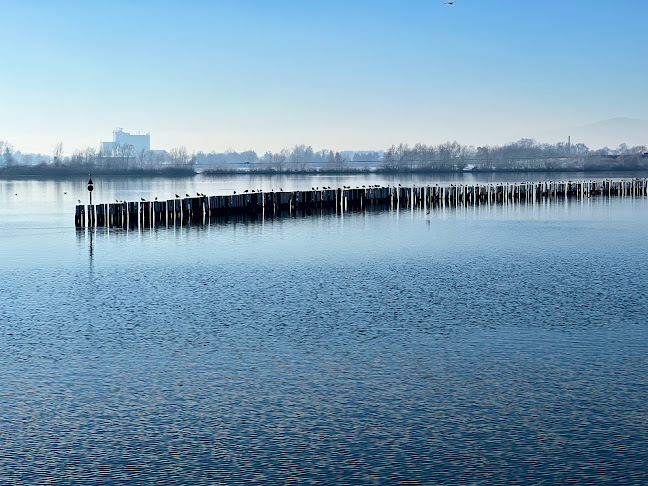 Comentarii opinii despre Ptujsko morje