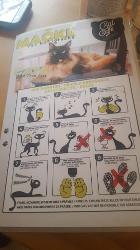 Cat Caffe Ljubljana - Gastronomija in gostinstvo
