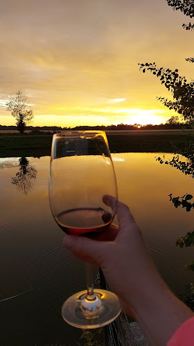 Oaza GRILL - Gastronomija in gostinstvo