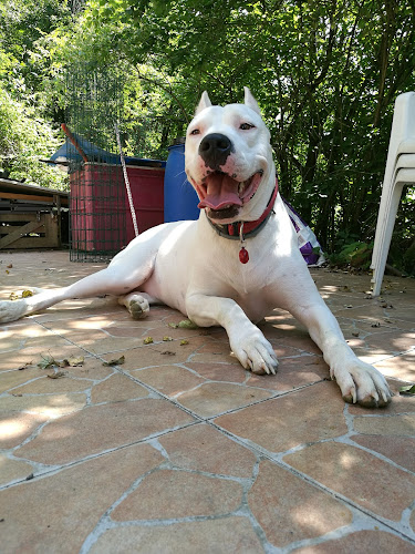 Opinii despre Natakar, Gašper Vidic s.p. în Ljubljana - Gastronomija in gostinstvo