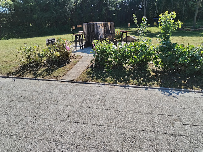 Comentarii opinii despre Okrepčevalnica Čaplja