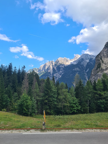 Comentarii opinii despre Koča na Gozdu