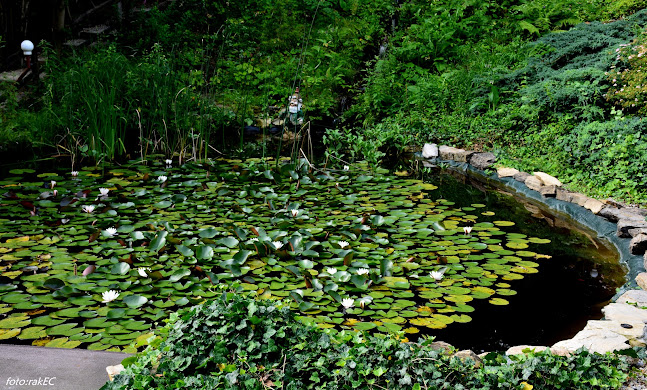 Zbiljska cesta 8, 1215 Medvode
