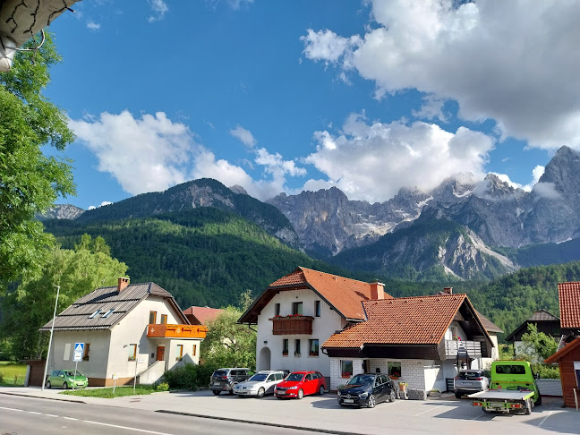 Comentarii opinii despre Gostilna in Pizzerija Jožica