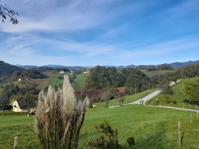Sekopt d.o.o., gradbeništvo in druge poslovne storitve - poslovna enota Caffe Galeria - Radeče