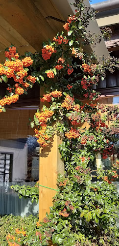 Comentarii opinii despre Bife pri Lojzu Alojz Šerbak s.p.