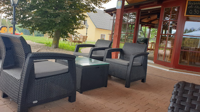 Comentarii opinii despre Gostinstvo, Pušn šank