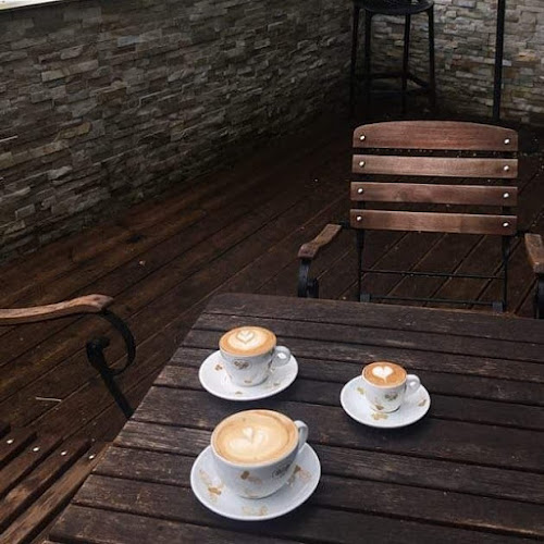 Comentarii opinii despre FN bar