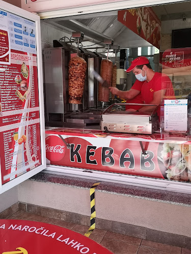 Ulica Alenke Gerlovič 1, 8250 Brežice