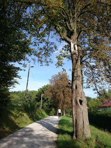 Comentarii opinii despre Gostilna Čad