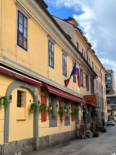 Comentarii opinii despre Foculus